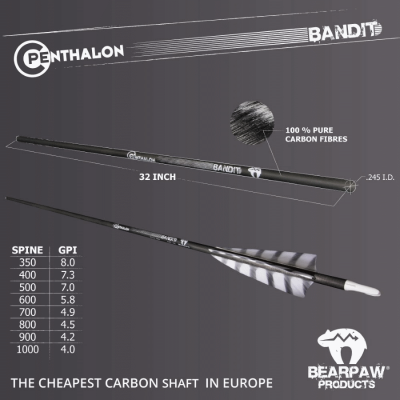 (Bild für) Penthalon Bandit Carbonschaft (0.245")