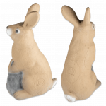 (image for) 3D-Int Bunny