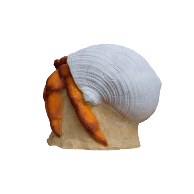 (image for) 3D-Int Hermit Crab