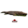 (Bild für) Asen/Wildcrete 3D Krokodil