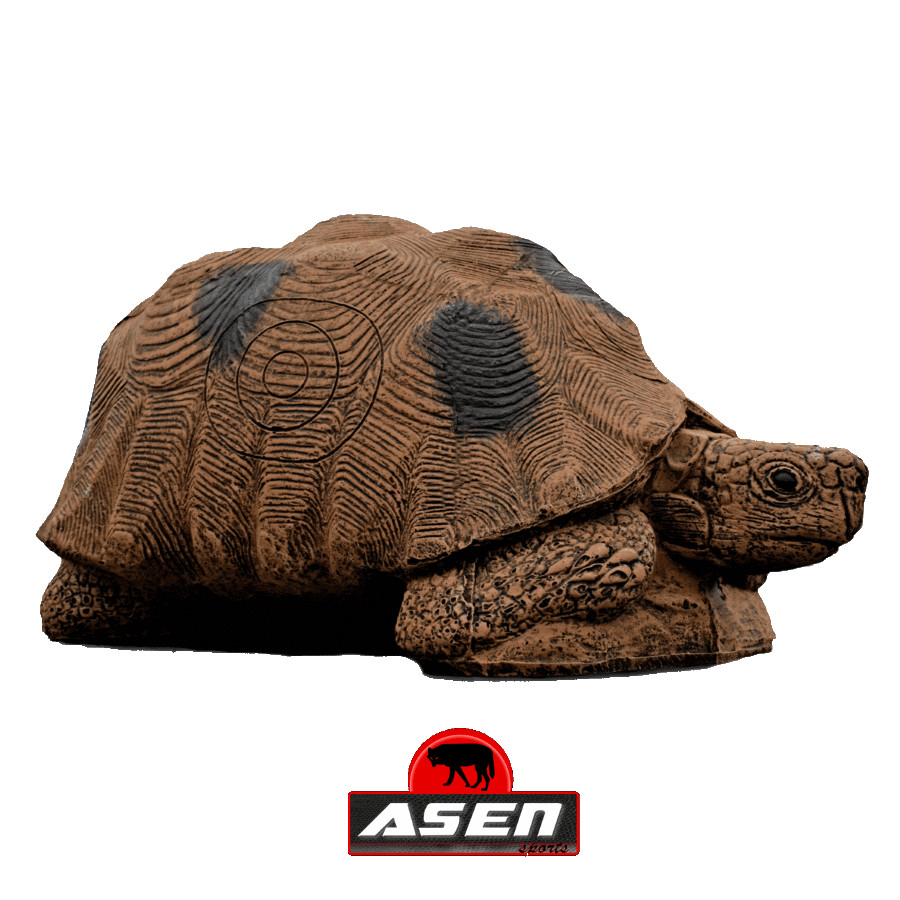 (image for) Asen/Wildcrete 3D Tortoise