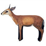 (image for) Asen/Wildcrete 3D Duiker - Antelope