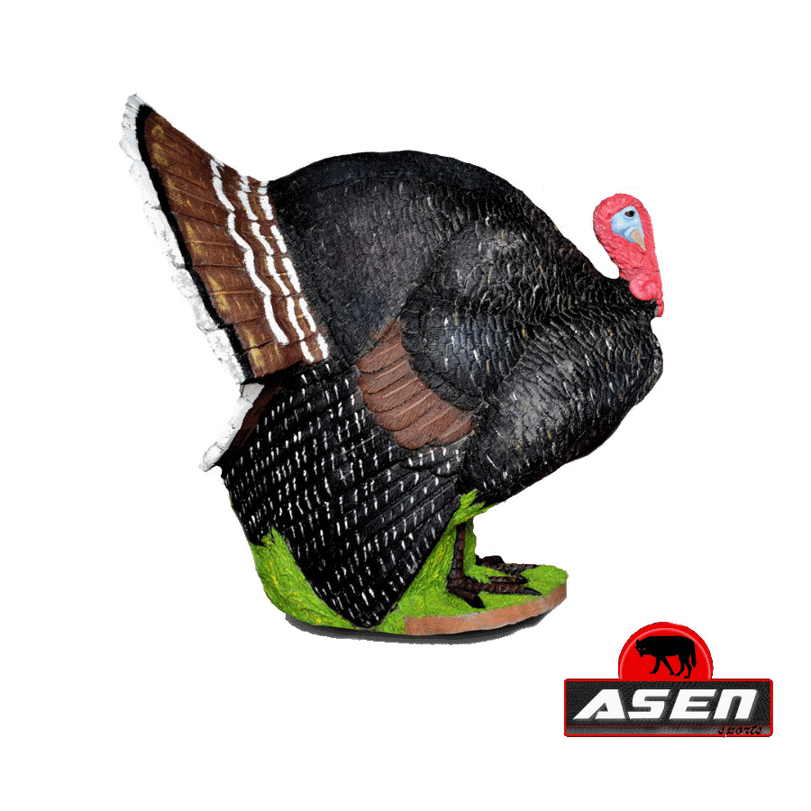 (image for) Asen/Wildcrete 3D Turkey