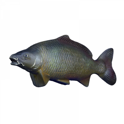 Natur Foam Carp