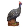 Asen/Wildcrete 3D Guinea fowl