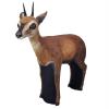 Asen/Wildcrete 3D Duiker - Antelope