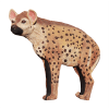 Asen/Wildcrete 3D Hyena large