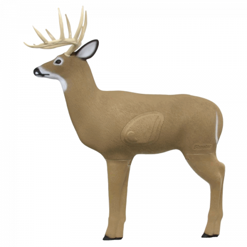 Field Logic Shooter 3D Big Buck