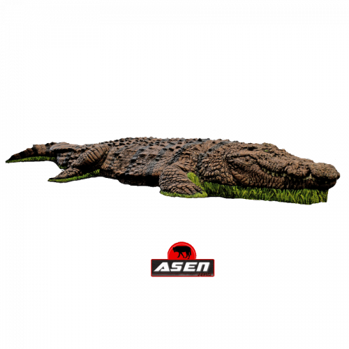 Asen/Wildcrete 3D Krokodil