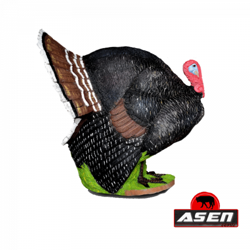 Asen/Wildcrete 3D Turkey