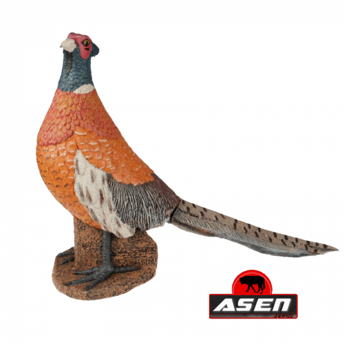 Asen/Wildcrete 3D Pheasant