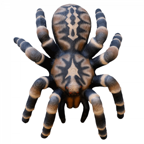 Leitold 3D Bird Spider