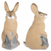 3D-Int Bunny (Häschen)