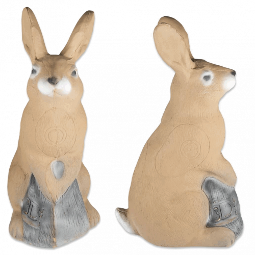 3D-Int Bunny