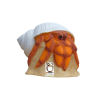 3D-Int Hermit Crab